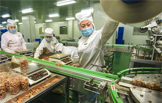 霸州 积极打造京津都市食品产业集群